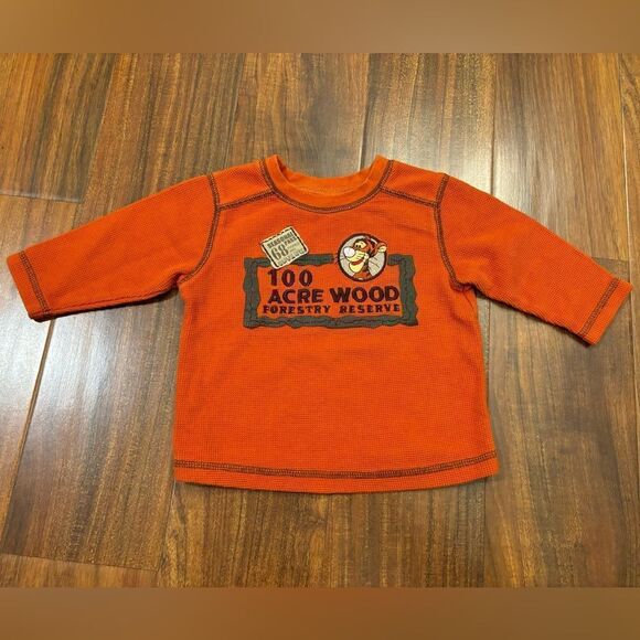 Disney Winnie the Pooh Tigger orange long sleeve tee shirt - Picture 1 of 4